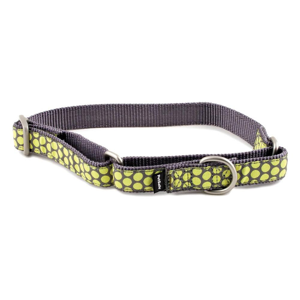 PetSafe Fido Finery Martingale Style Collar (1-2 Petite, Dotted Bliss)