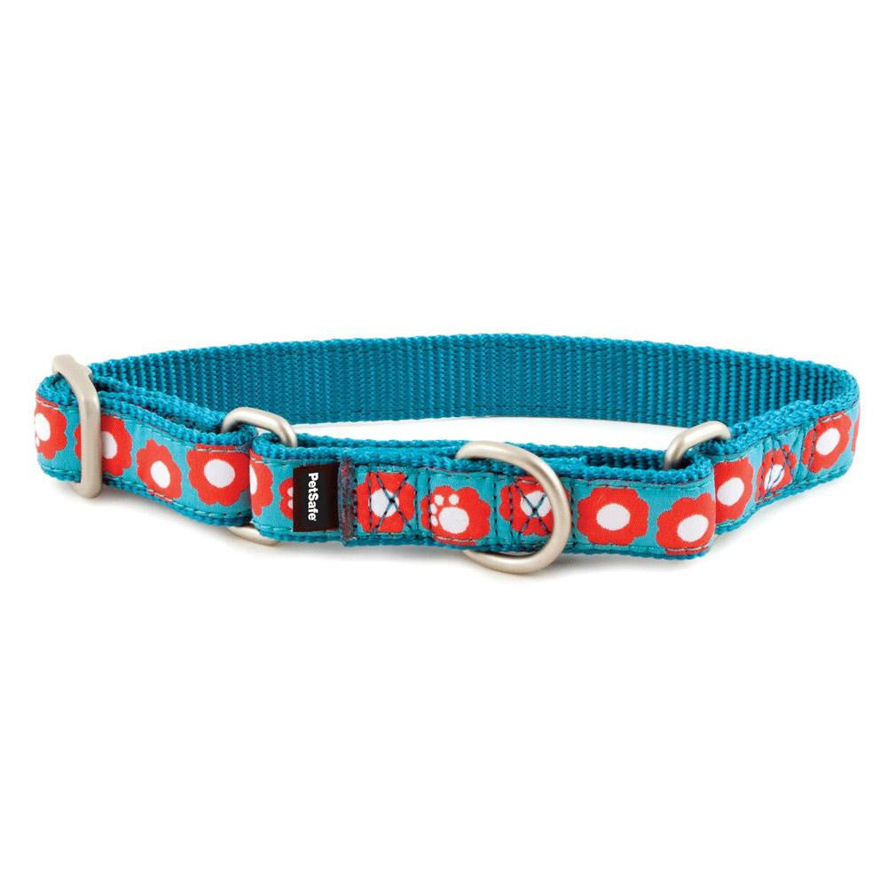 PetSafe Fido Finery Martingale Style Collar (1-2 Petite, Teal My Heart)