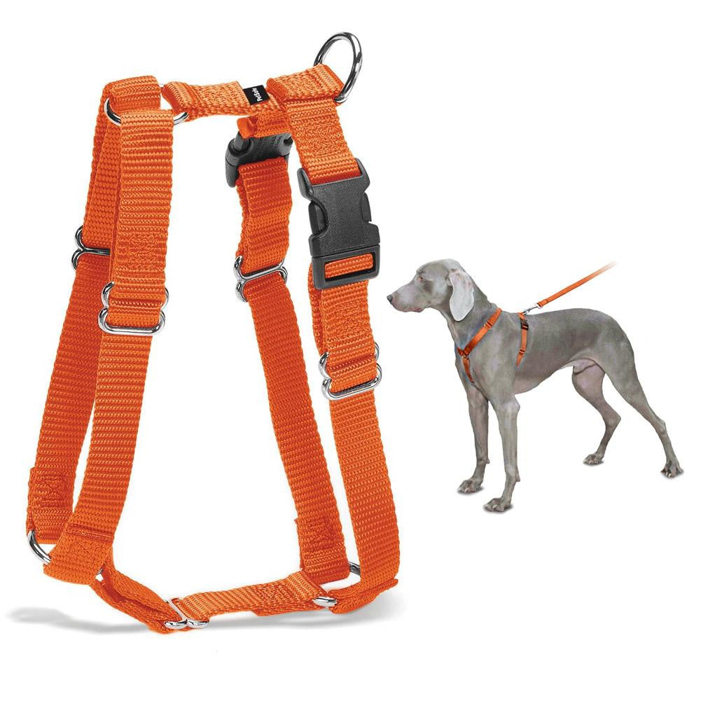 PetSafe Surefit Harness (Petite, Blaze)