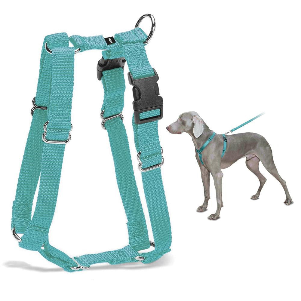 PetSafe Surefit Harness (Petite, Teal)